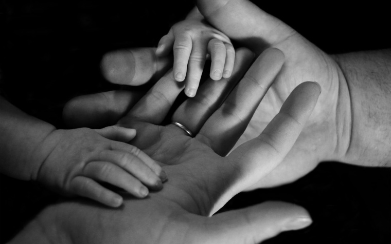 Life Insurance
